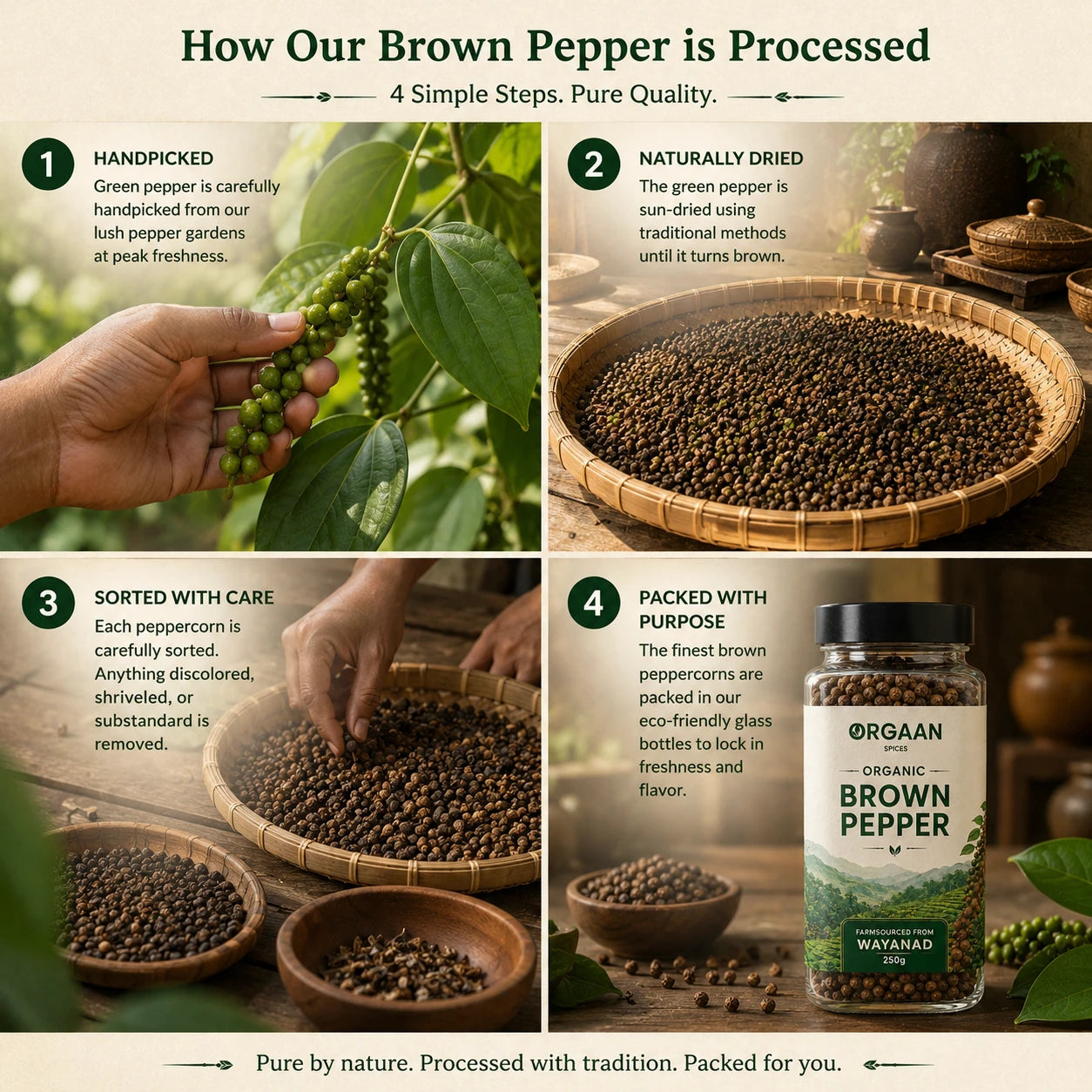 Process of how brown pepper is processed into a Wayanad Organic product.