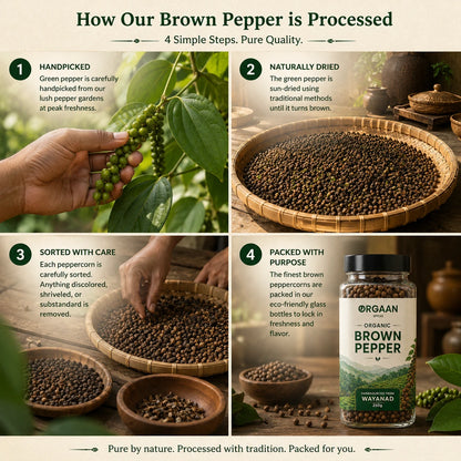Process of how brown pepper is processed into a Wayanad Organic product.