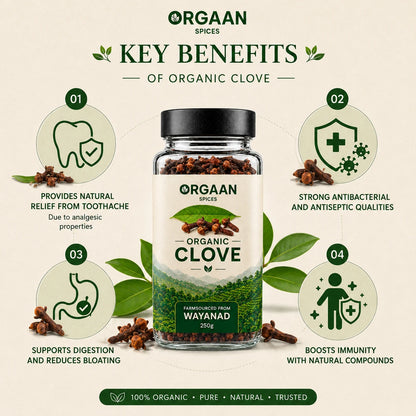 Orgaan organic clove spice jar with key benefits on a beige background