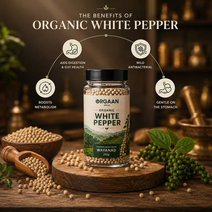 Jar of organic white pepper with health benefits on a wooden surface