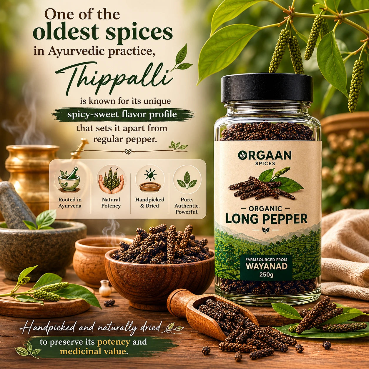 Orgaan Organic Long Pepper jar with text about Ayurvedic practice and pepper benefits on a wooden surface.