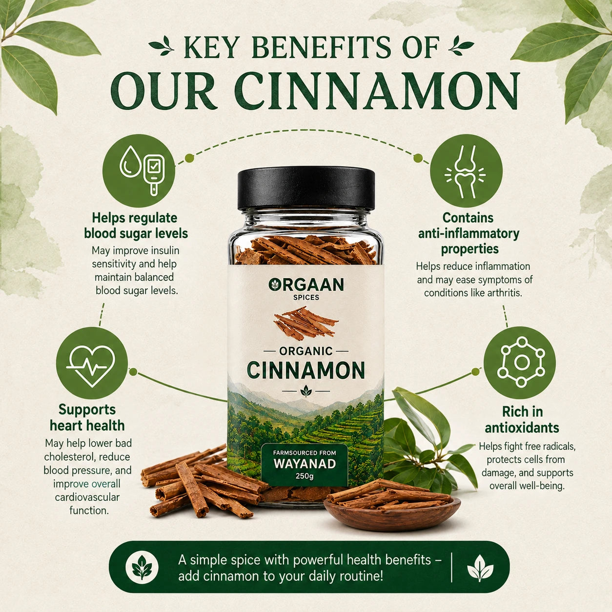 ORGAANSPICES CINNAMON BENEFITS