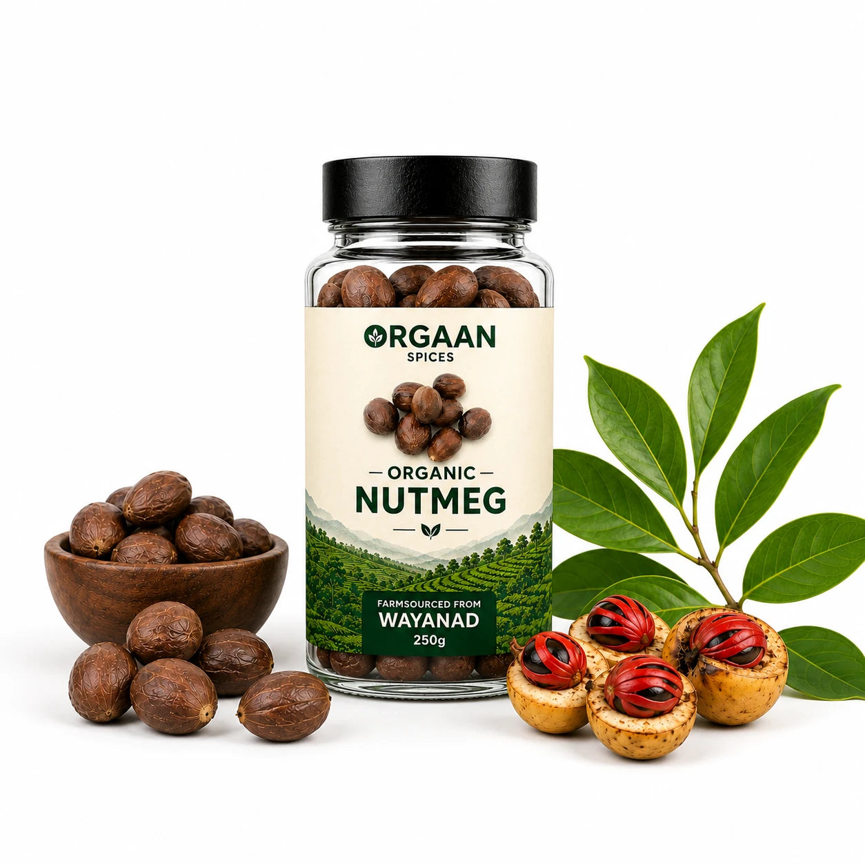 Jar of Orgaan organic nutmeg with nutmeg fruits and leaves on a white background