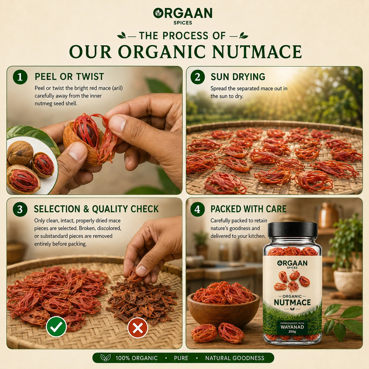 ORGAAN SPICES ORAGNIC KERALA NUTMACE