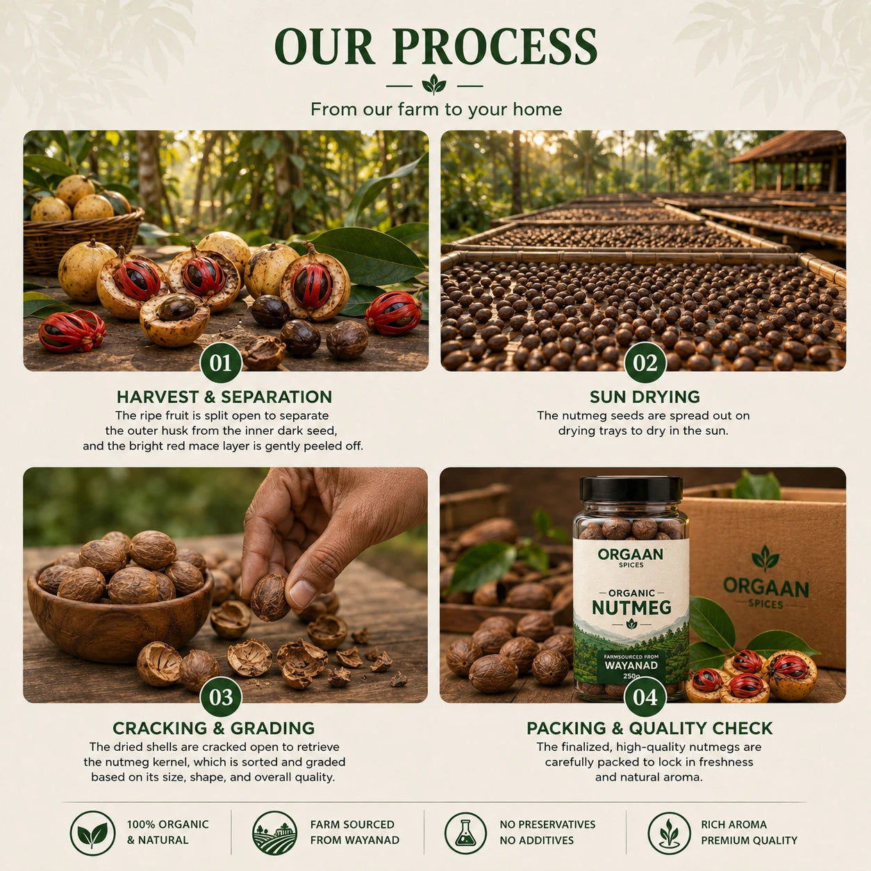 Process of organic nutmeg from farm to packaging, featuring images and text.