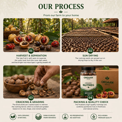 Process of organic nutmeg from farm to packaging, featuring images and text.