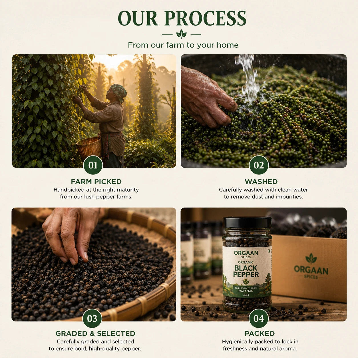 Organic Kerala Black Pepper | Washed, Premium Bold Grade Pepper | 250g